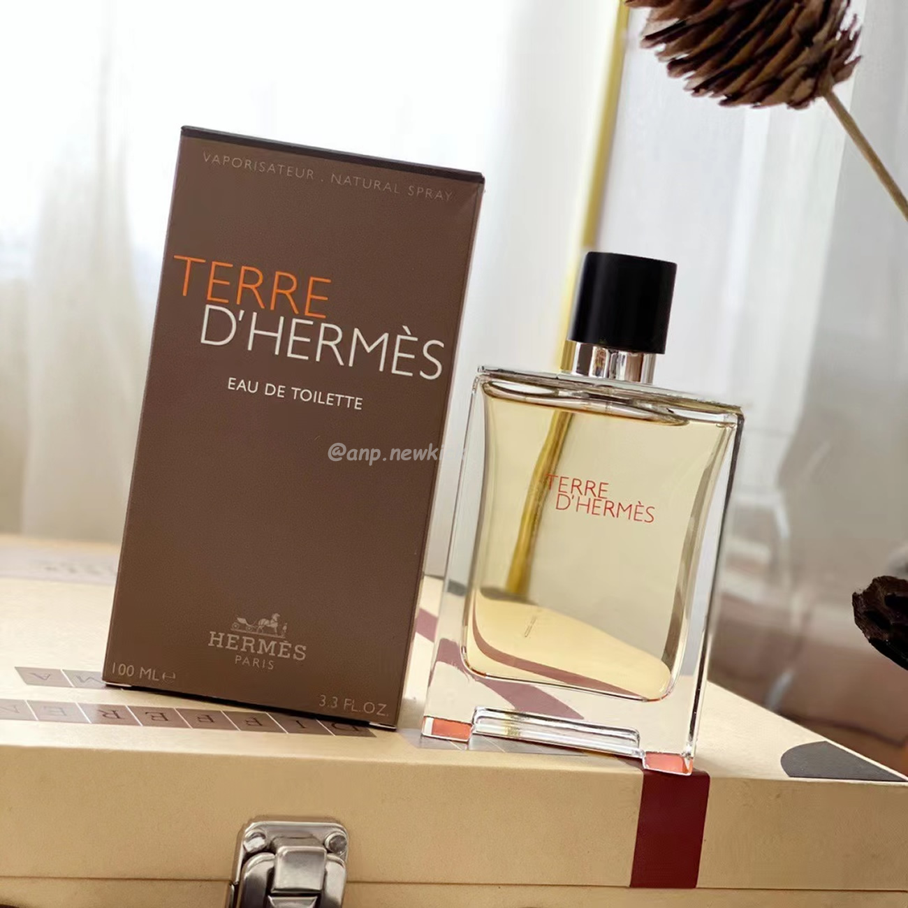 Hermes Terre D Pour Homme Edt 100ml (8) - newkick.cc